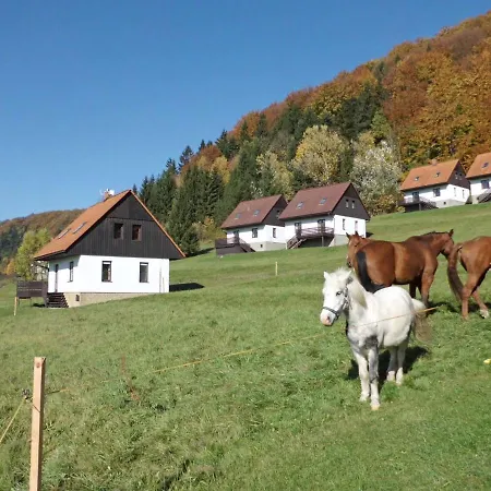 Holiday home Holiday Starkov (Hradec Kralove)
